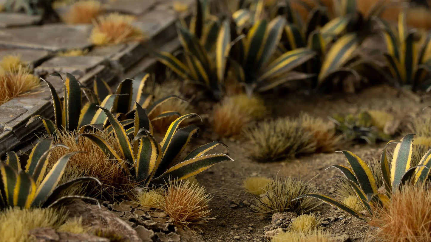 Gamers Grass - Agave