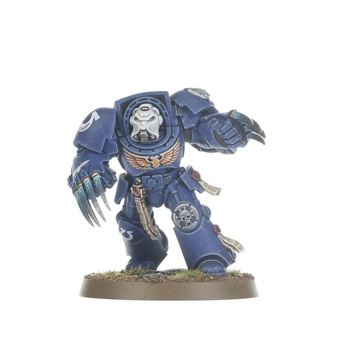 Warhammer 40k: Space Marines - Assault Terminators Squad