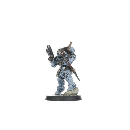 Warhammer 40k: Kill Team: Wolf Scouts