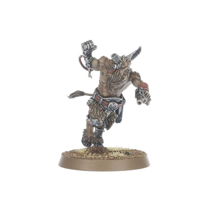 Chaos Space Marines: Fellgor Beastmen