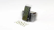 Gamers Grass - Plantain Lily