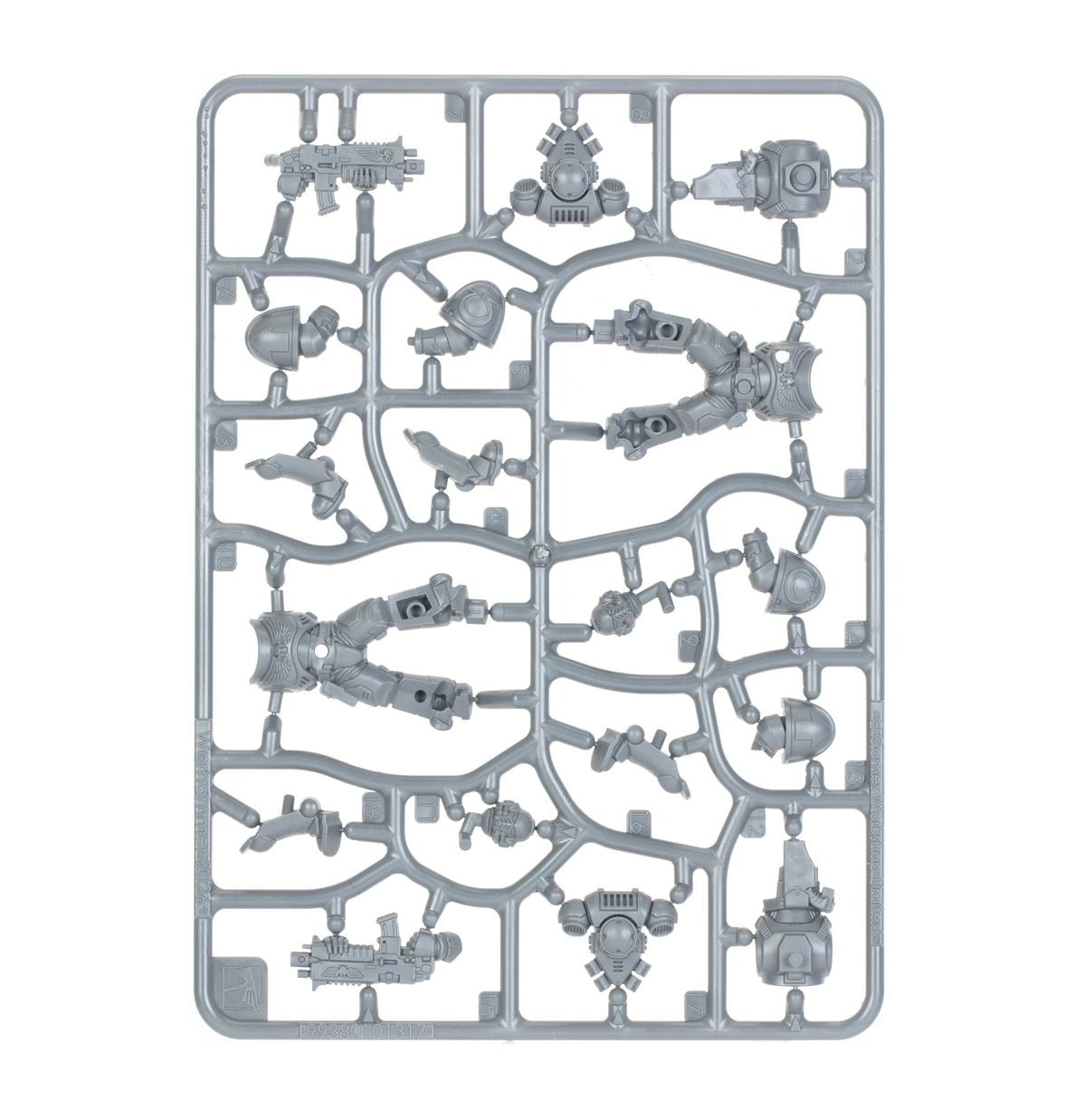 Warhammer 40k: Intercessors and Paints