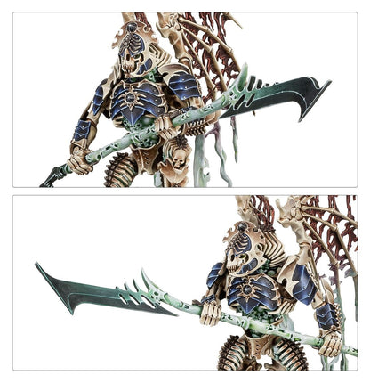 Battleforce: Ossiarch Bonereapers – Null Myriad Phalanx