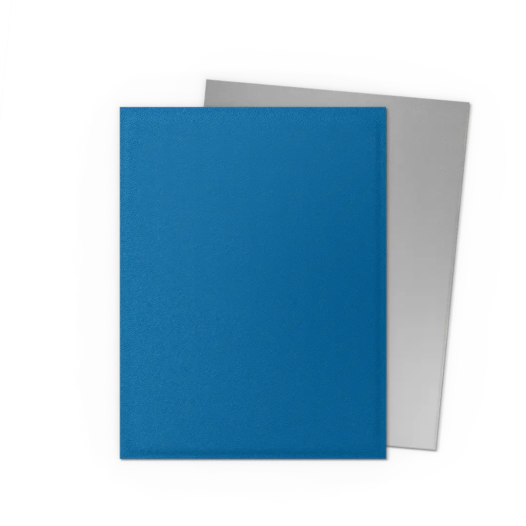 Dragon Shield: Dual Matte: 100 Sleeves
