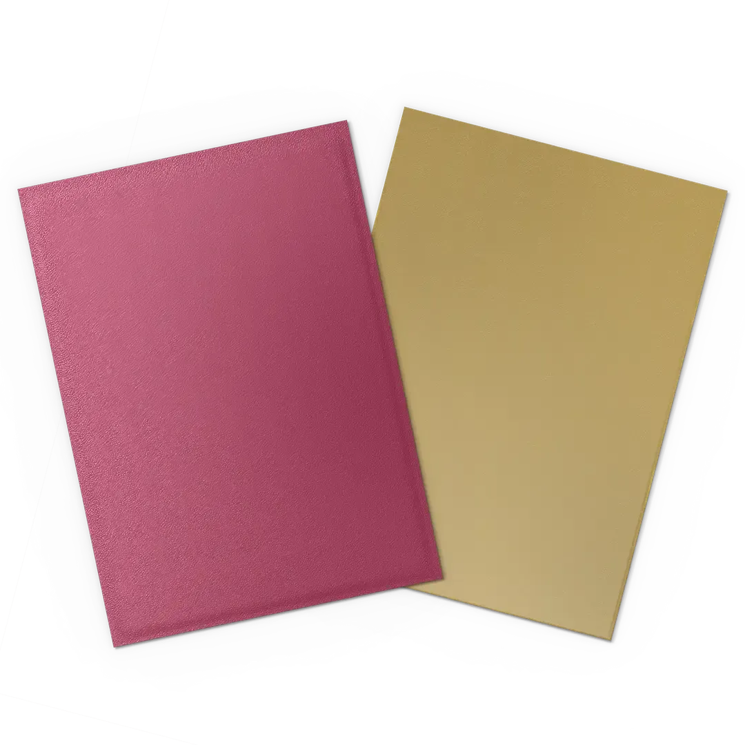 Dragon Shield: Dual Matte: 100 Sleeves