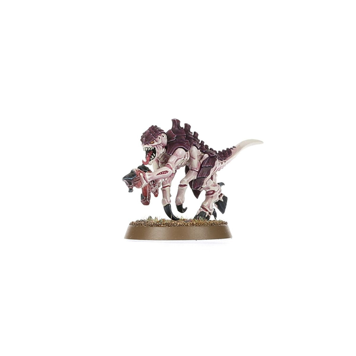 Warhammer 40K: Introductory Set