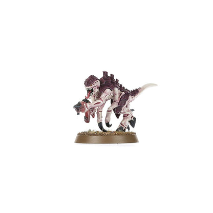 Warhammer 40K: Introductory Set