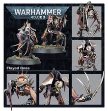 Warhammer 40k: Necrons: Flayed Ones