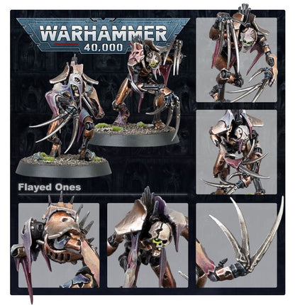 Warhammer 40k: Necrons: Flayed Ones