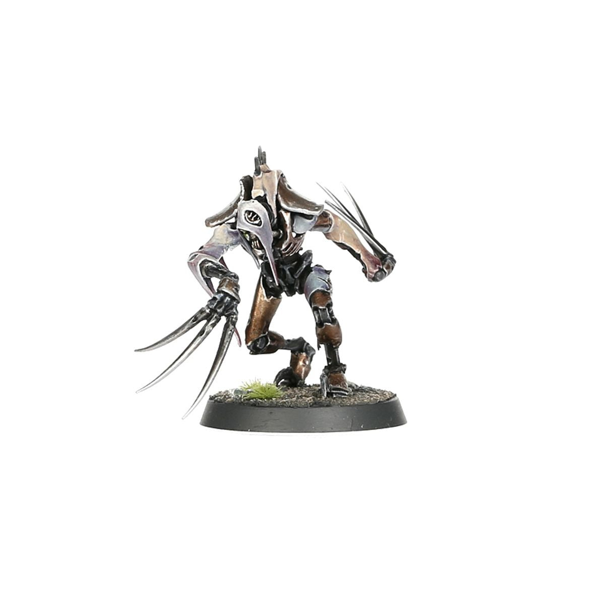Warhammer 40k: Necrons: Flayed Ones