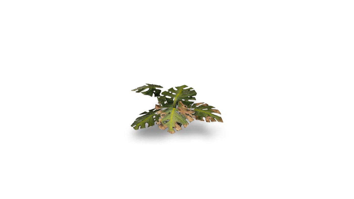 Gamers Grass - Monstera